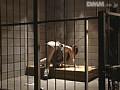 女子校生 蛇縛輪●DX サンプル画像（小）