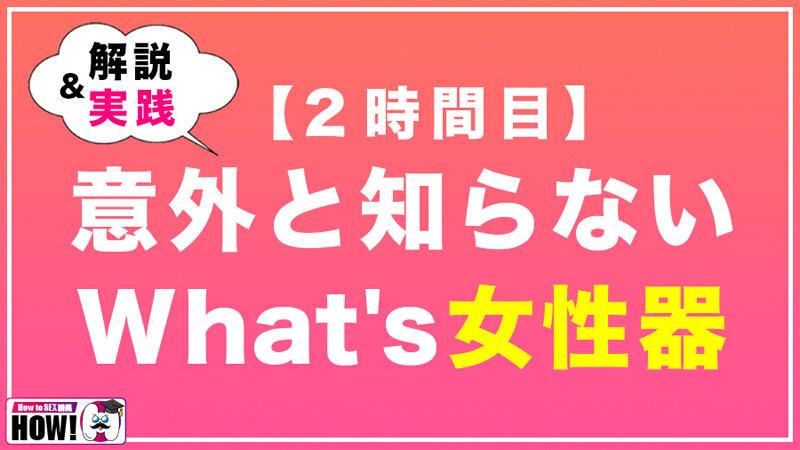 How to学園 観たら【絶対】SEXが上手くなる教科書AV 初級編 サンプル画像（大）